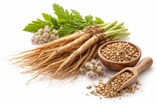 Valerian Root