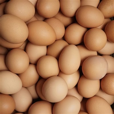 Vitamin B7